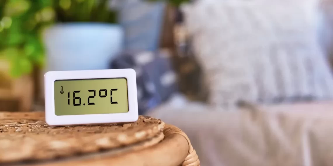 cel mai bun termometru de camera